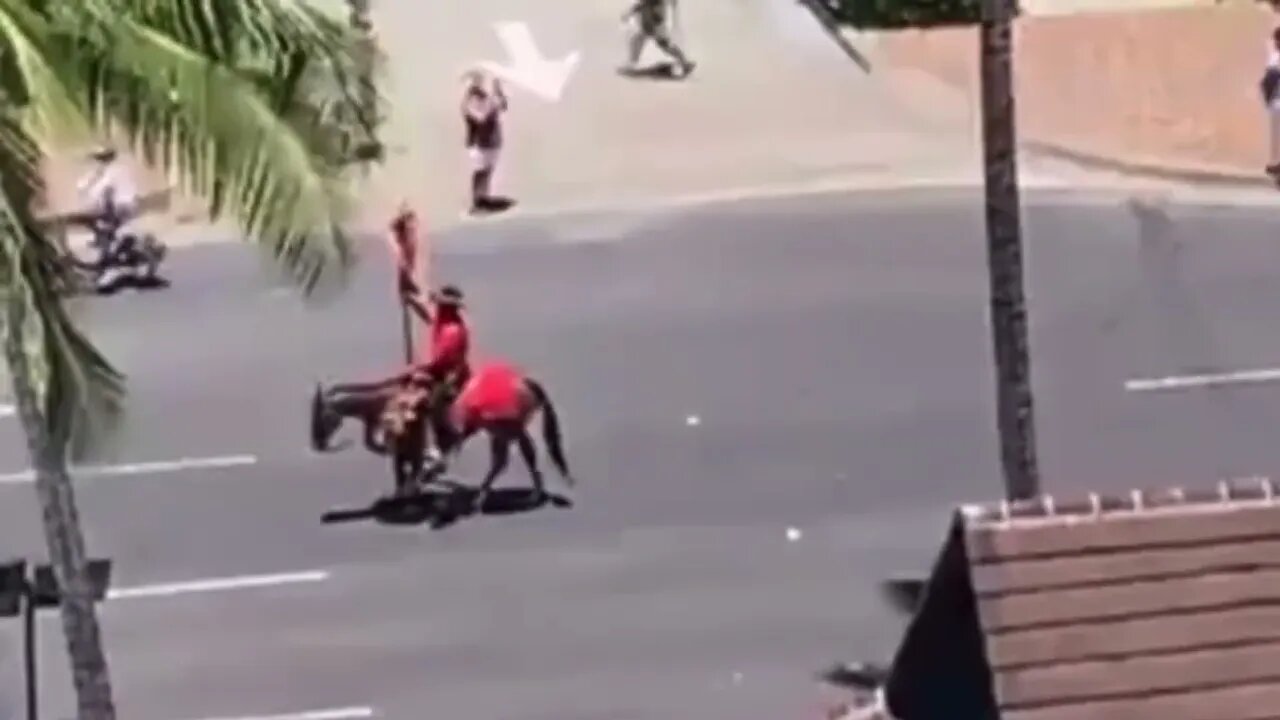 KAMEHAMEHA DAY PARADE CONCLUSION