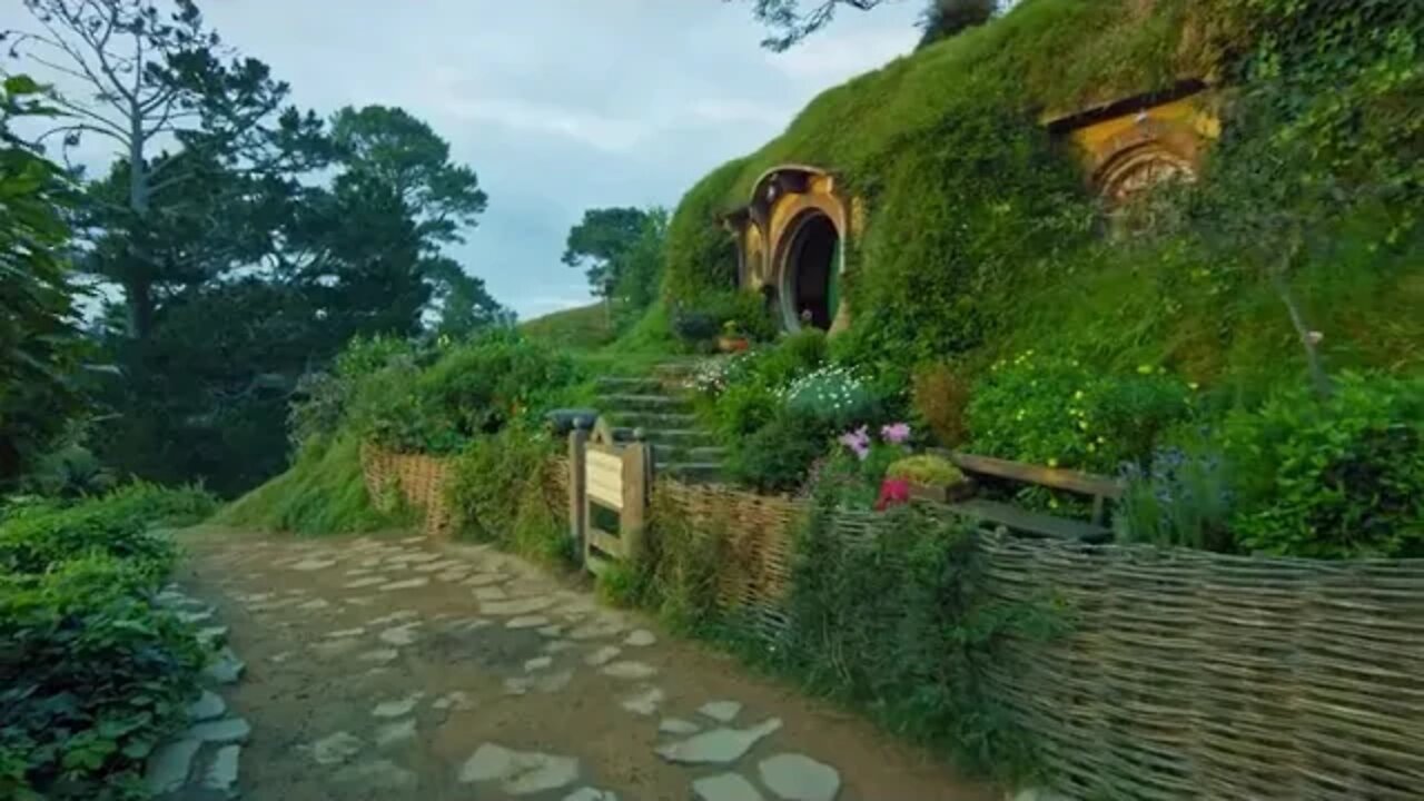 Slow down and feel the beauty of the world 3