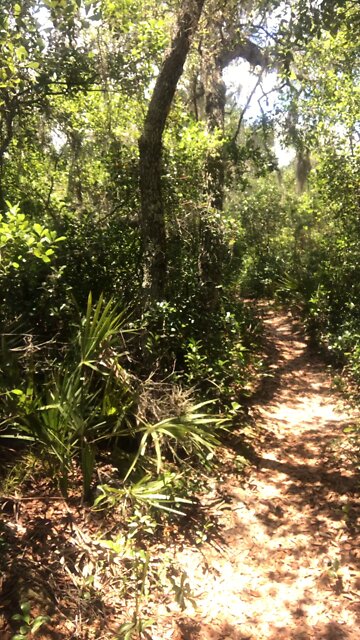 Have the time of your life, but think twice