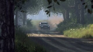 DiRT Rally 2 - Replay - BMW M2 Competition at Czarny Las