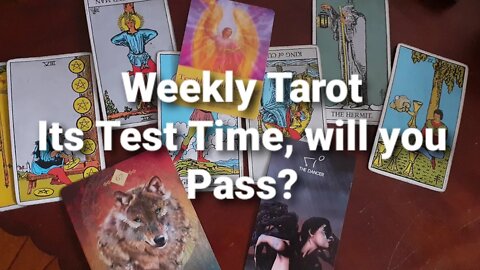 Weekly Tarot: Test Time will you Pass?