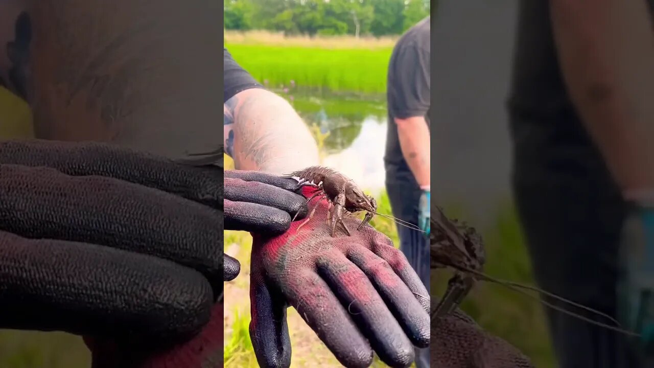 Another unexpected find While Magnet Fishing