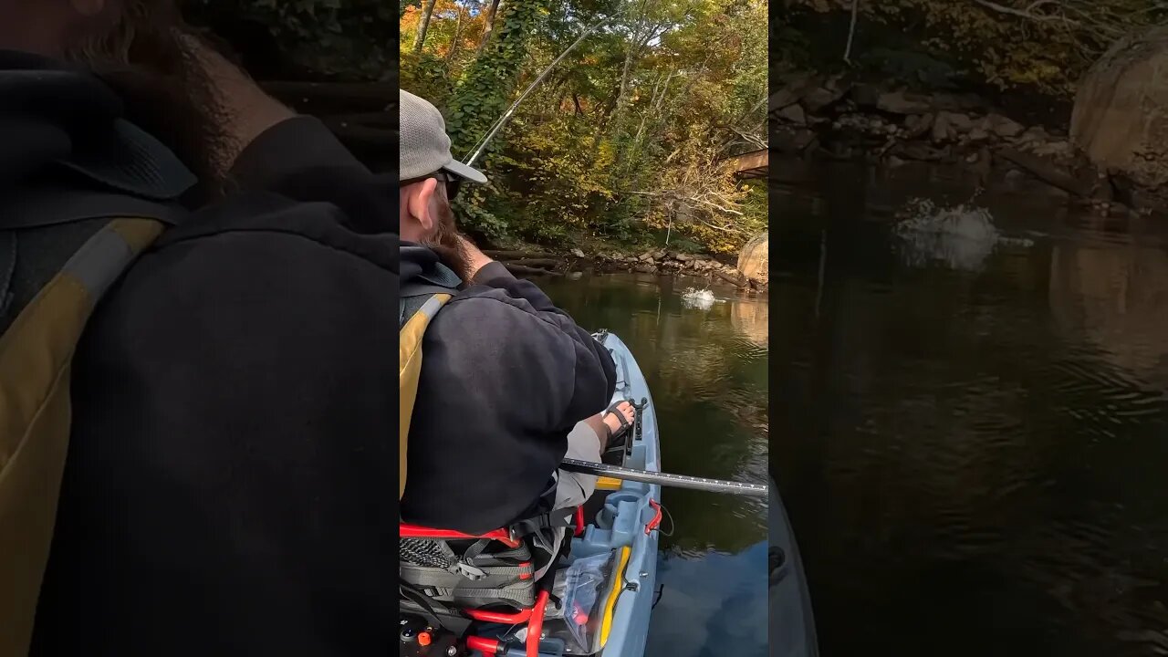 This small change made a HUGE difference 😱 #kayakbassfishing #bassfishing #riverfishing