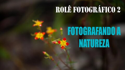 Rolê Fotográfico 2 - Fotografando a Natureza