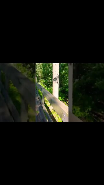 Centennial Park in Moncton New Brunswick