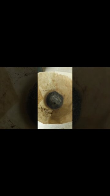 Coffee Review - Dunkin Original Medium Roast