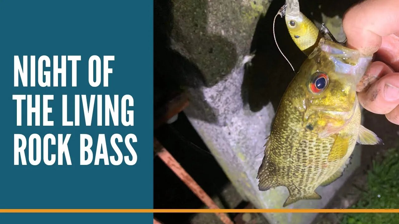 Night Of The Living Rock Bass / Night Fishing On The River