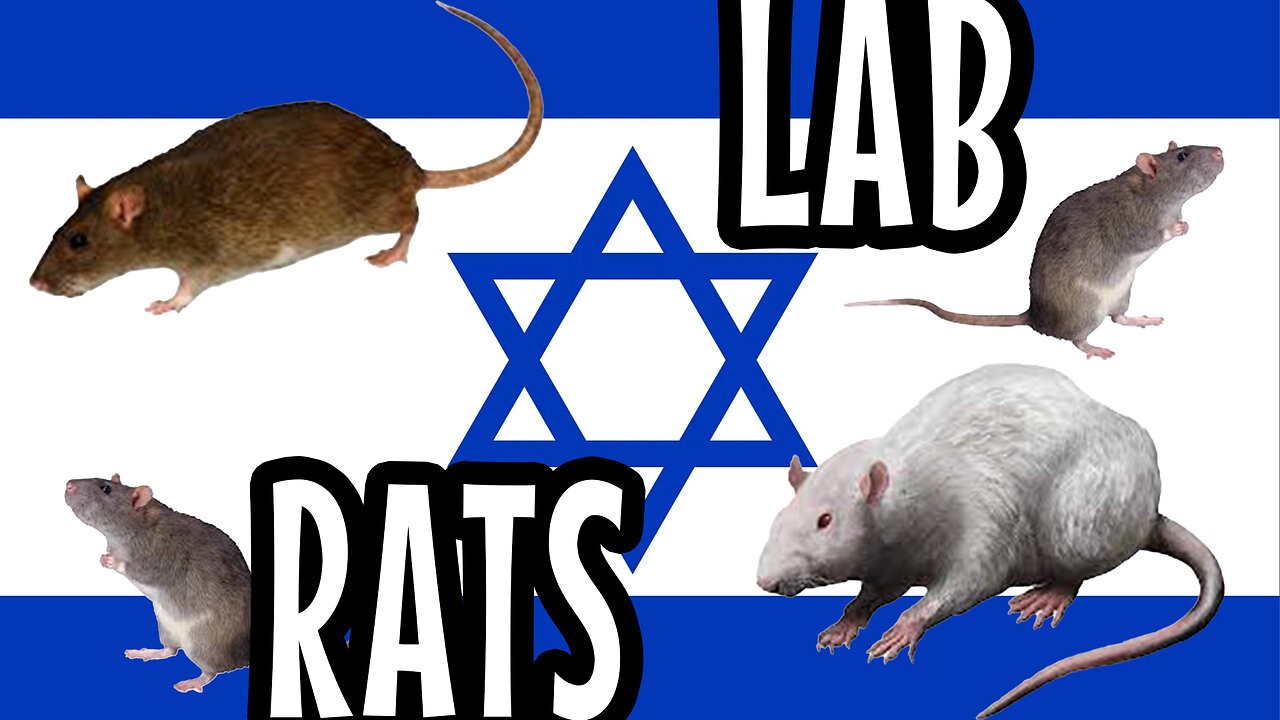 Israelis are lab rats | The Jimmy Dore Show