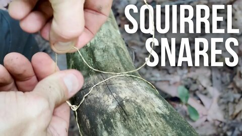 Building Squirrel Snares | ON Three