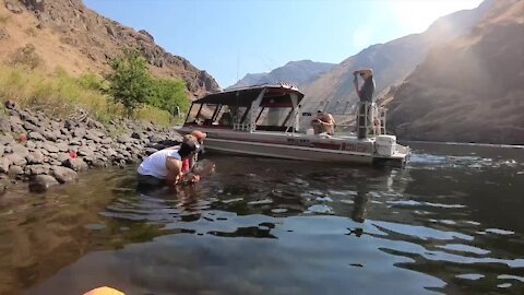 Anglers try to land a sturgeon in the wild and scenic Hells Canyon