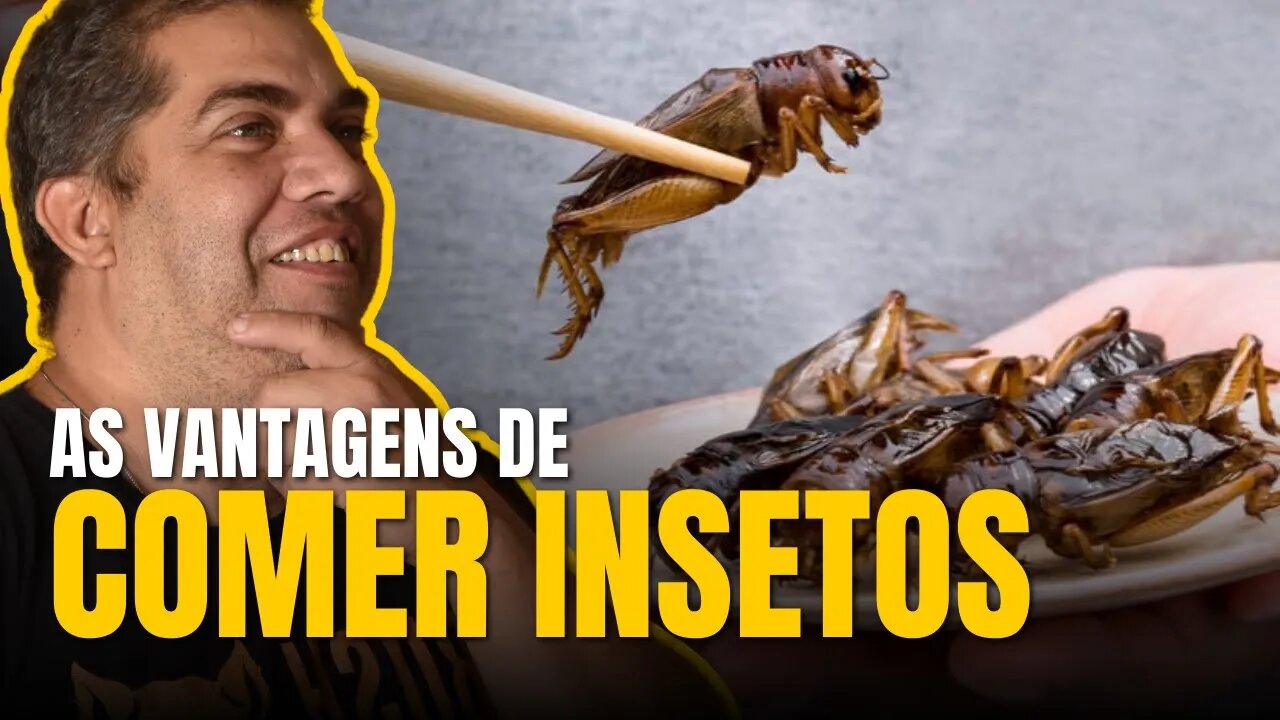 QUAL AS VANTAGENS DE COMER INSETOS (ENTOMOFAGIA) - BUSHCAST #27