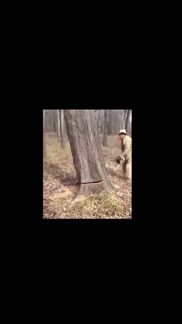 Nothing could have prepared me for this...😲