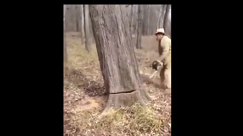 Nothing could have prepared me for this...😲