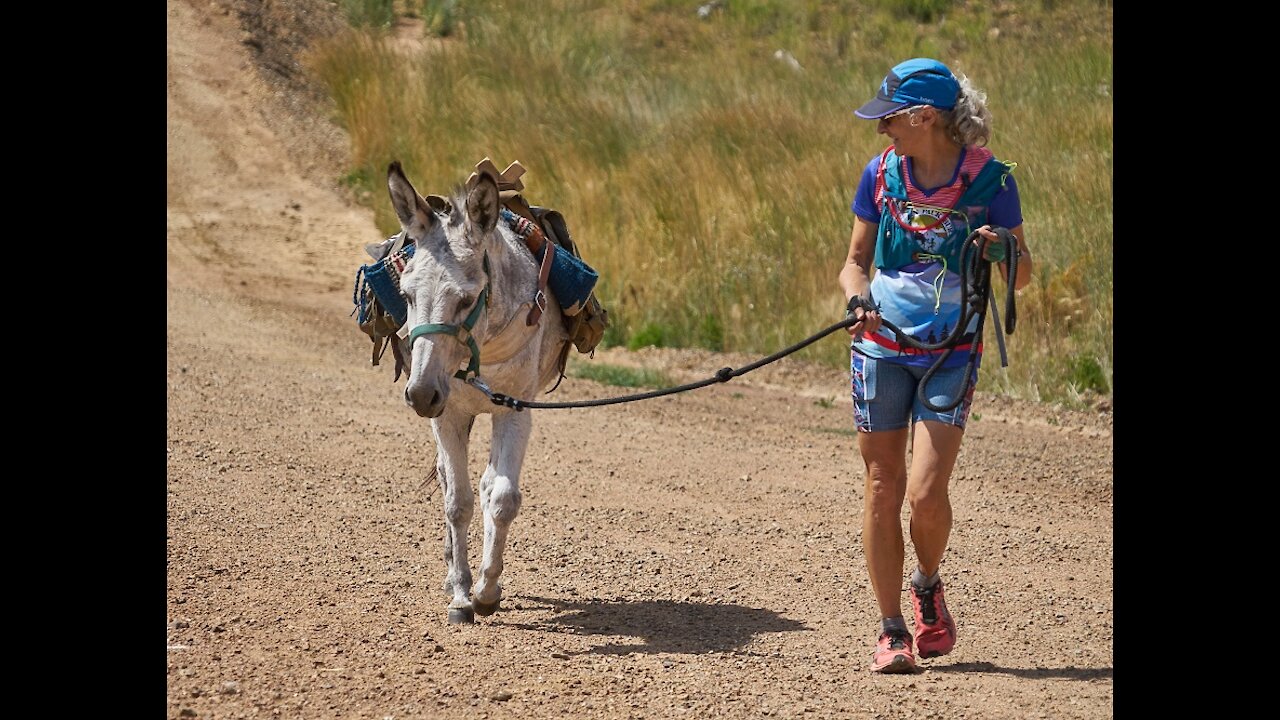 Pack Burro Race Victor, CO