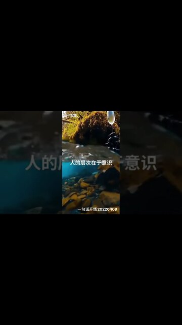 一句话开悟20220409