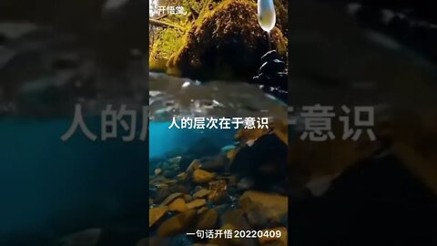 一句话开悟20220409