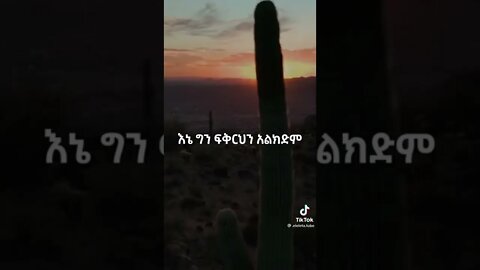 ለምን እንደ ሆነ ባላዉቅም።