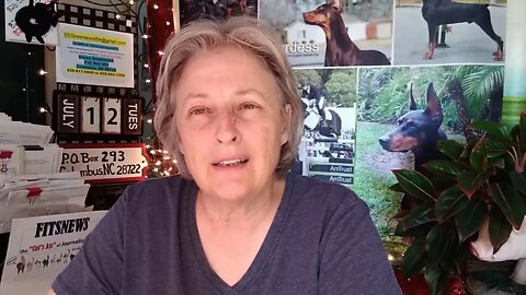 12Jul22 - oh hell no to Reddit - review of all of this - life on YouTube