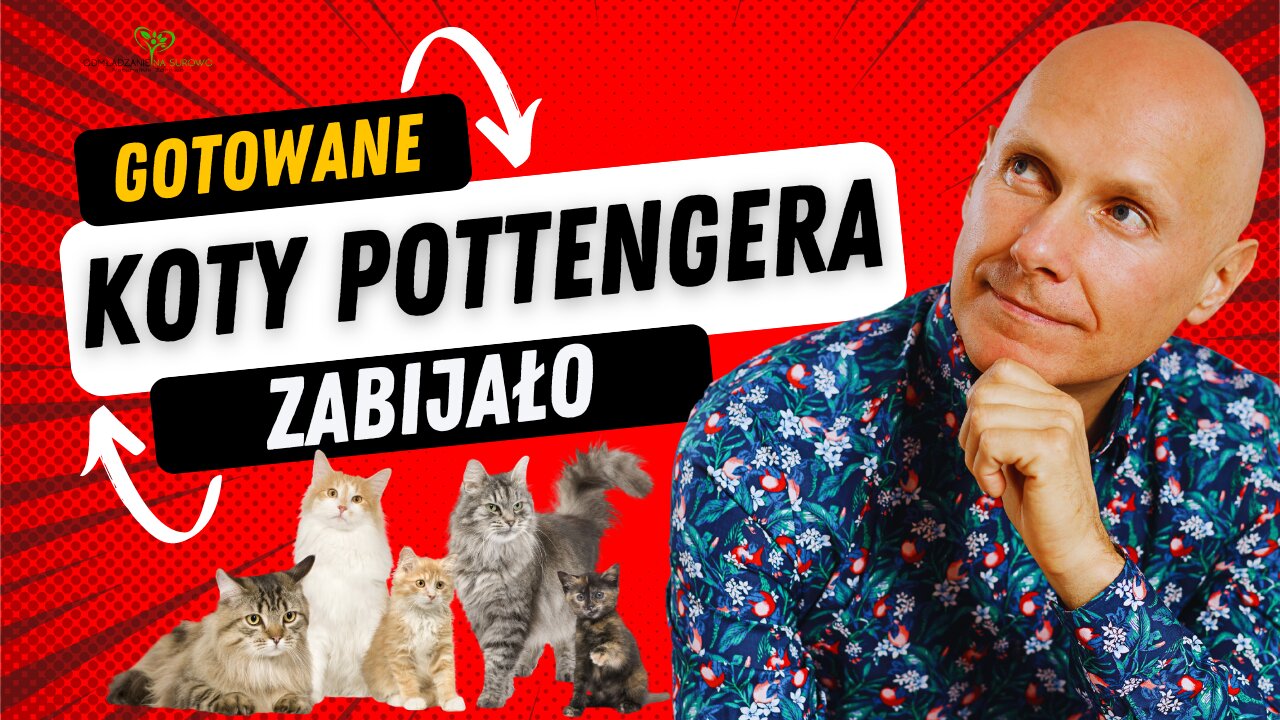 Poznaj KOTY Pottenger-a 🐈‍⬛i znaczenie surowego jedzenia Dla wszystkich zwierząt i każdego istnienia