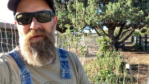 High Desert Vegetable Garden Tour - June 2023