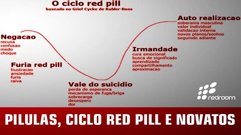 PILULAS, CICLO RED PILL E NOVATOS (RACCOONING RACCOON)