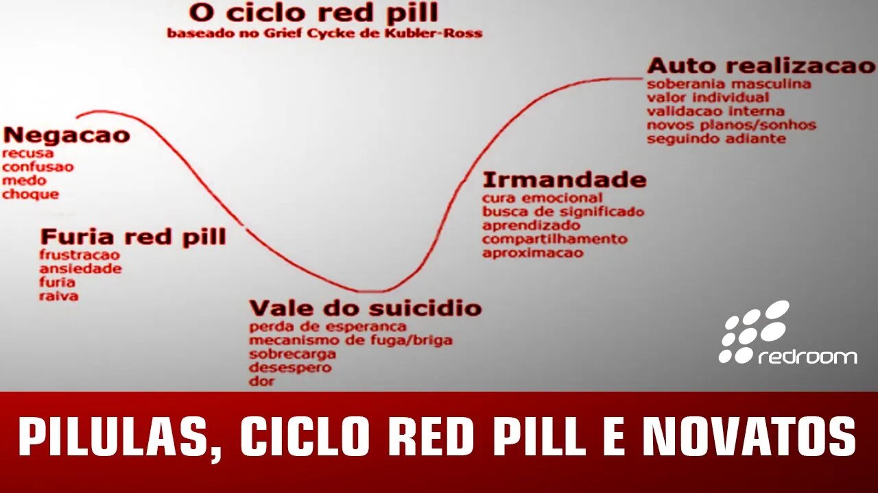 PILULAS, CICLO RED PILL E NOVATOS (RACCOONING RACCOON)