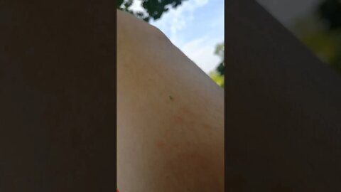 Simple Pleasures 😁