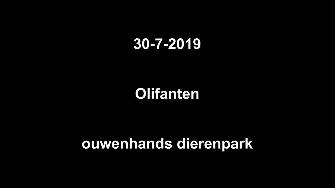 30-7-2019 -Olifanten - ouwenhands dierenpark - #Ouwenhands #dierenpark #olifanten