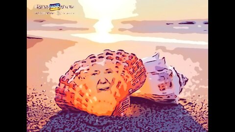 The Ultimate Donald Trump Shell Meme! 🐚