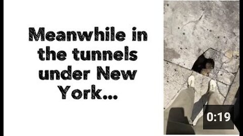 ❗️Meanwhile in the tunnels under New York...