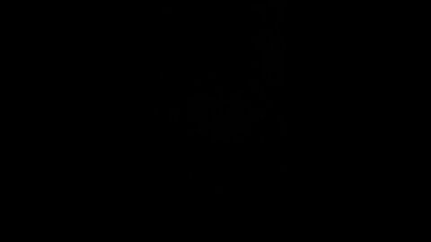 Grocery store inflation