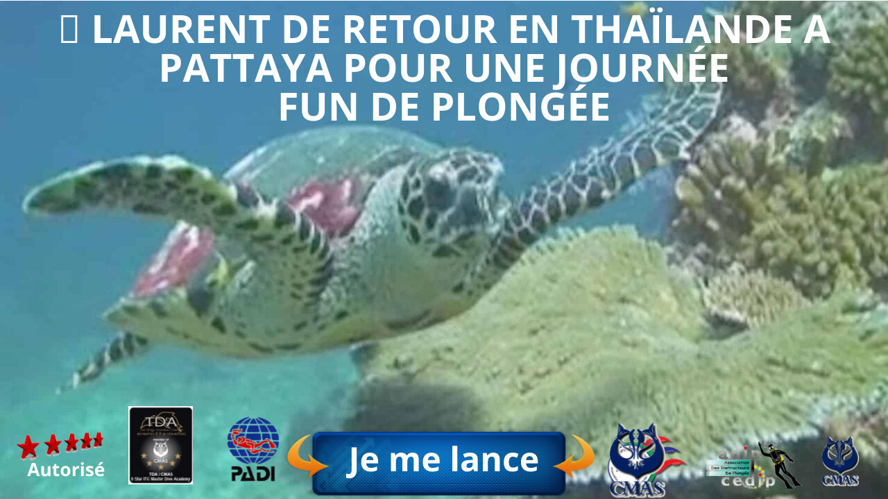 🤿 Laurent de retour en Thaïlande a Pattaya pour une journée fun de plongé