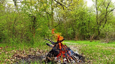 10 минут отдыха на природе Звуки костра, и весеннего ветра звуки природы