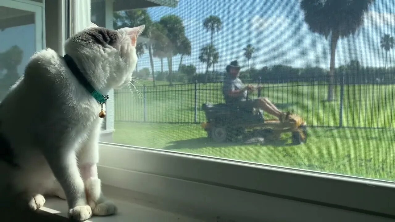 Mike Watching the Lawn Mower