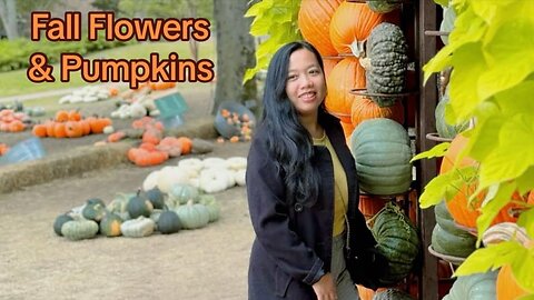 Fall Flowers & Pumpkins