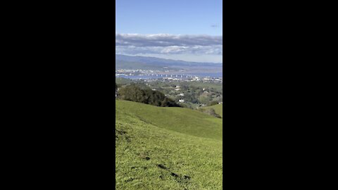 San Francisco Delta and Electric Windmill Farm from Briones