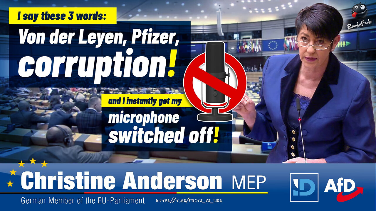 President of Parliament cuts off Christine Anderson's Microphone after calling v.d. Leyen corrupt