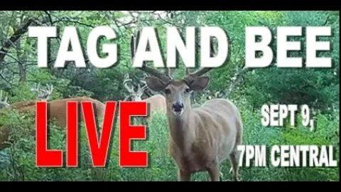 FRIDAY night LIVE with TAG and BEE