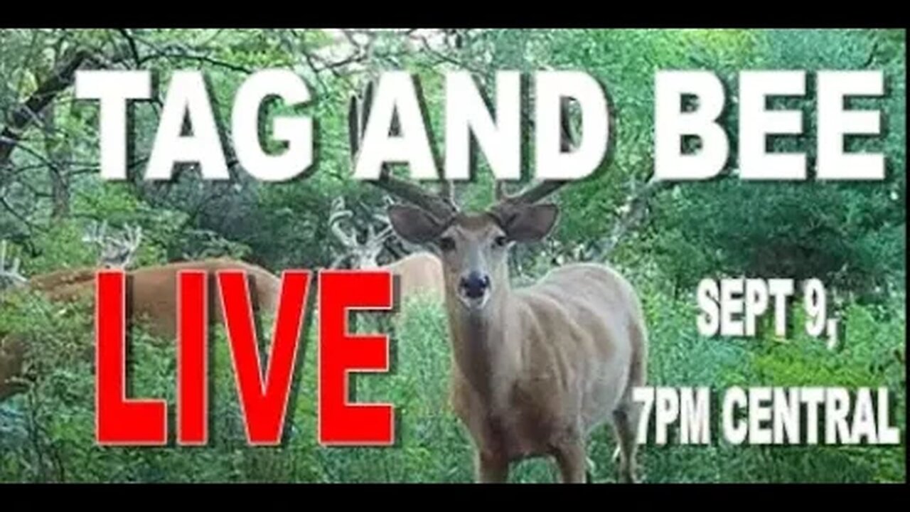 FRIDAY night LIVE with TAG and BEE