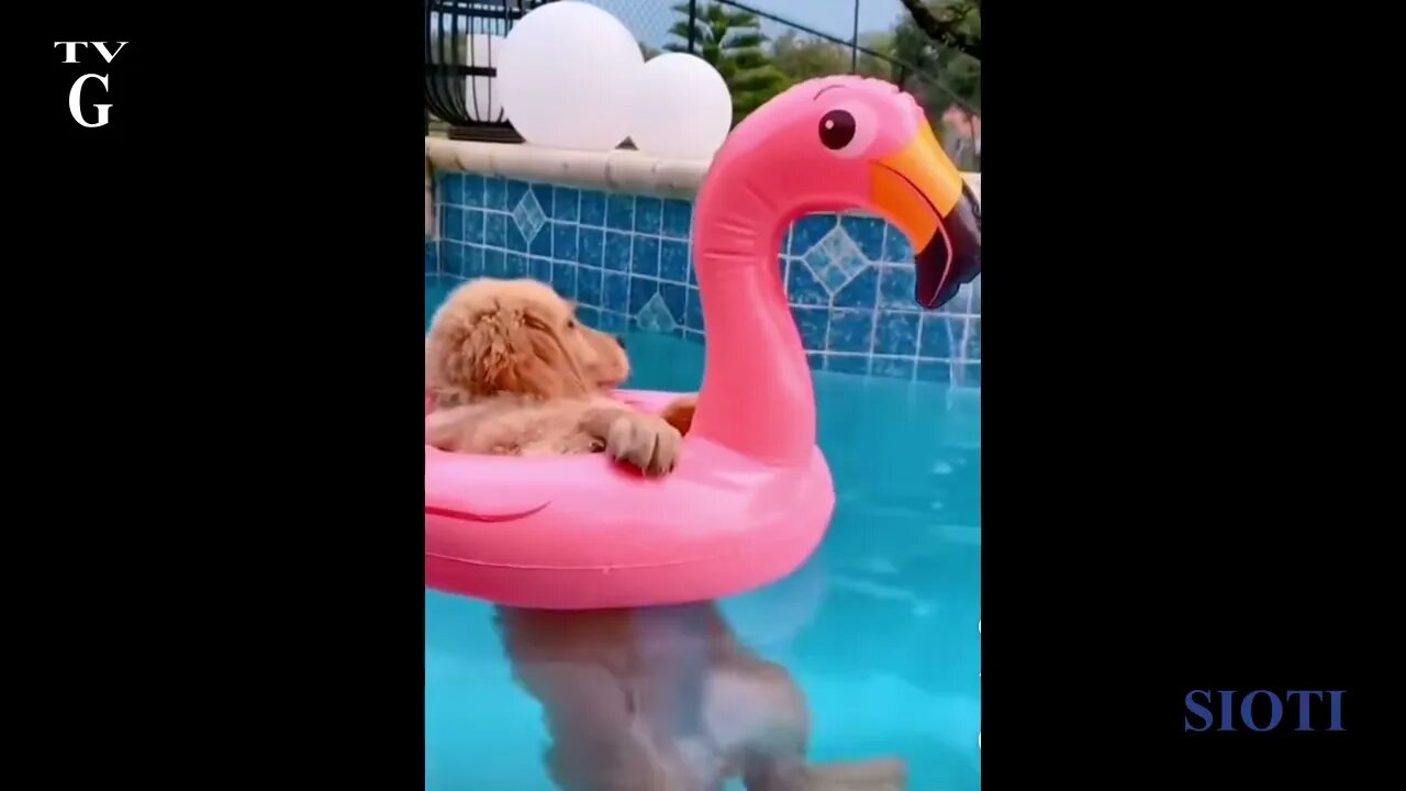 17 April