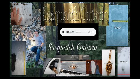 Sasquatch Ontario Mike: THE HIDDEN TRUTH ABOUT SASQUATCH