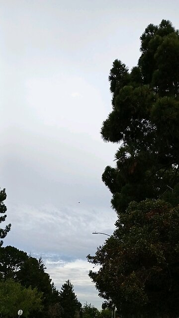 draconian plane targeting humans