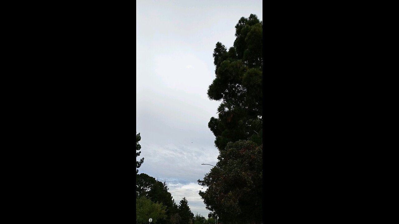 draconian plane targeting humans