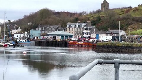 More of tarbert