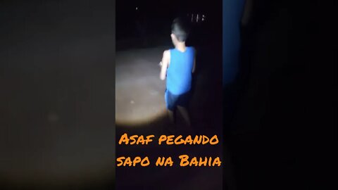 ASAF PEGANDO SAPO CURURU NA BAHIA