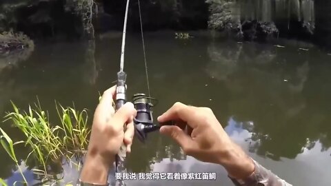 Fishing Diary 5~ Fishing in the wilderness jungle, the fish caught directly grilled to eat