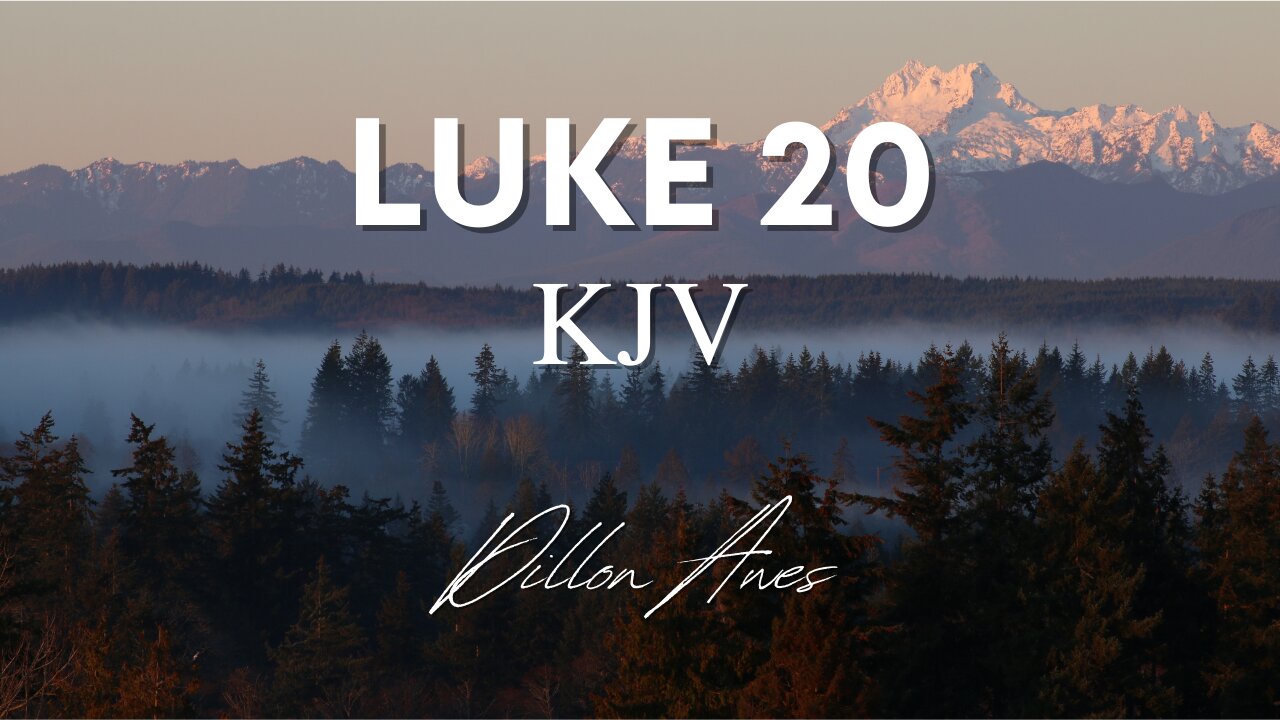 Luke 20 - King James Audio Bible Read By Dillon Awes