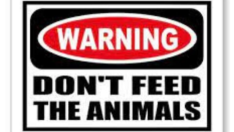 Don't Feed The (Human) Animals