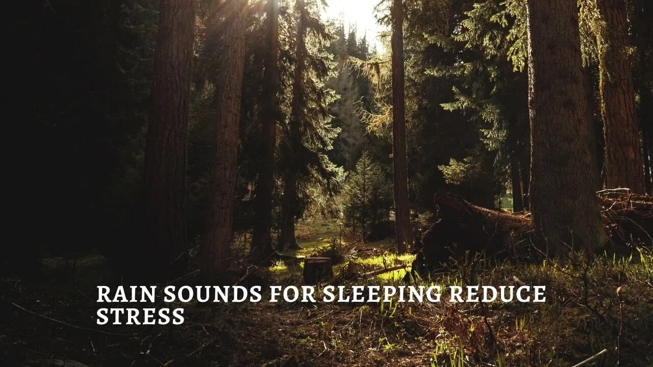 Rain Sounds For Sleeping Reduce Stress