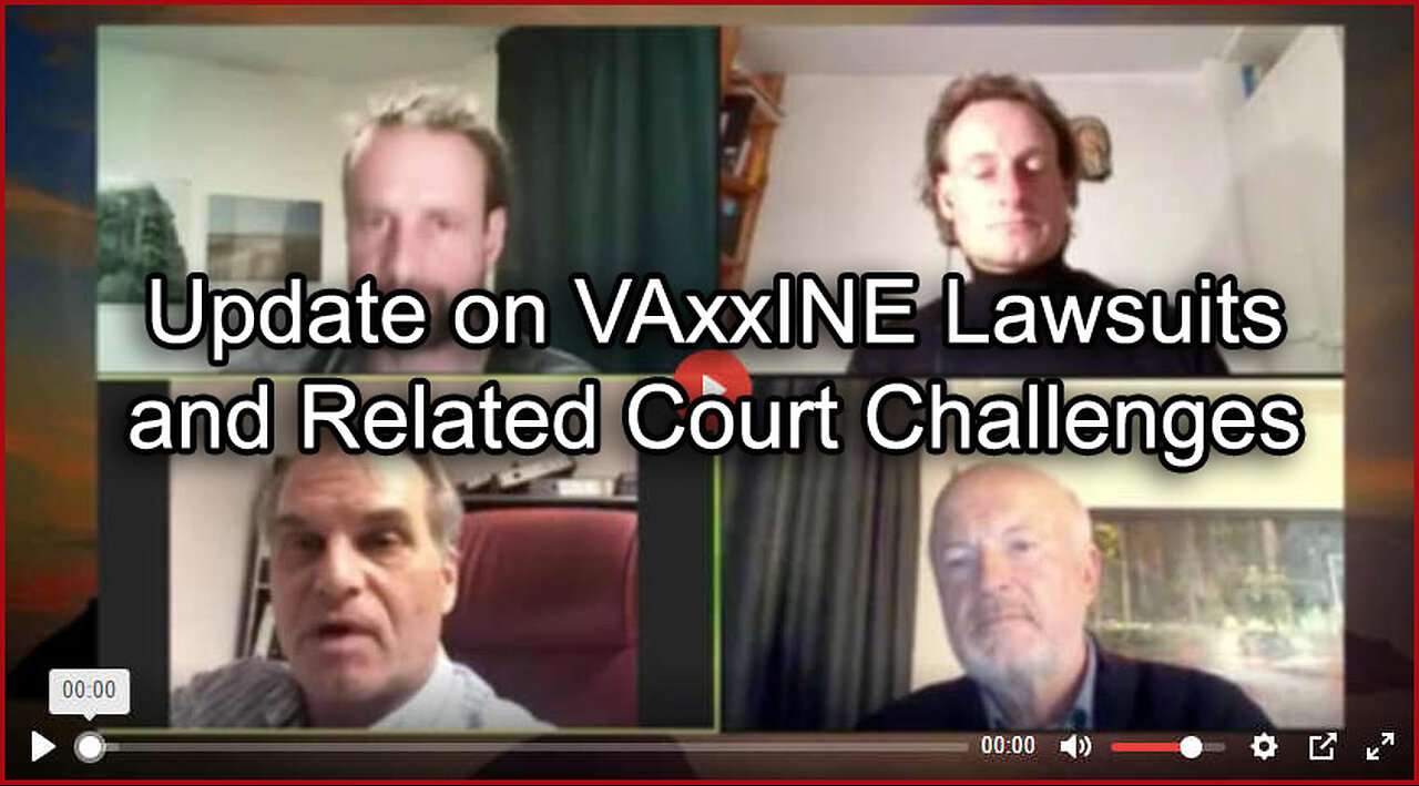 Reiner Fuellmich - Update on Vaccine Lawsuits and Court Challenges